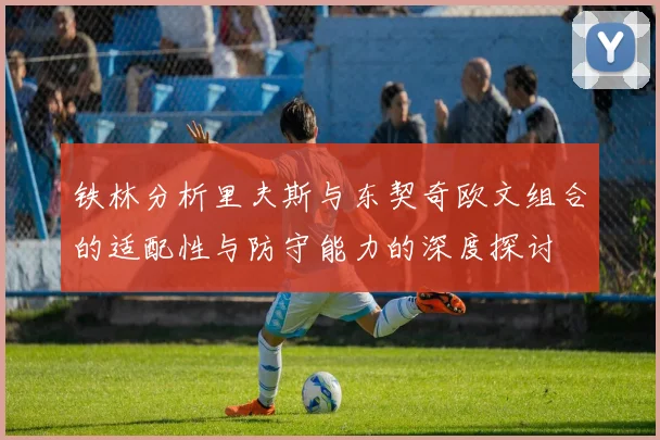 铁林分析里夫斯与东契奇欧文组合的适配性与防守能力的深度探讨