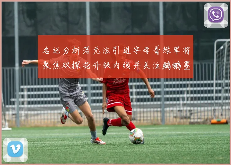 名记分析若无法引进字母哥绿军将聚焦双探花升级内线并关注鹈鹕墨菲